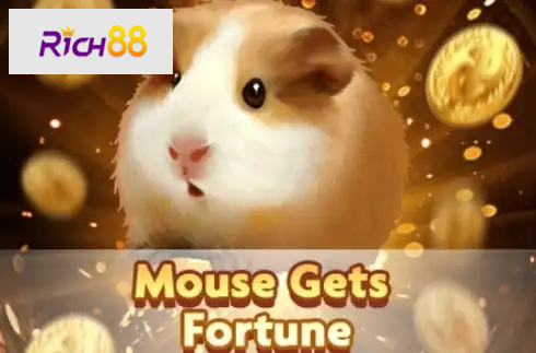 Mouse Gets Fortune